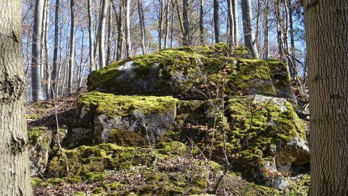 Felsen Felsen