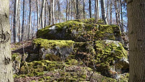 Felsen